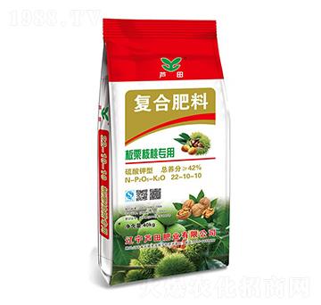 �������Ҍ��Ï�(f��)�Ϸ���2