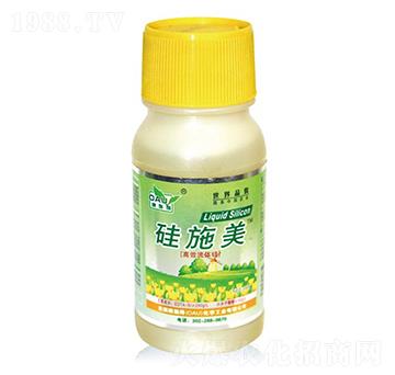 ��ʩ��-��ʩ��