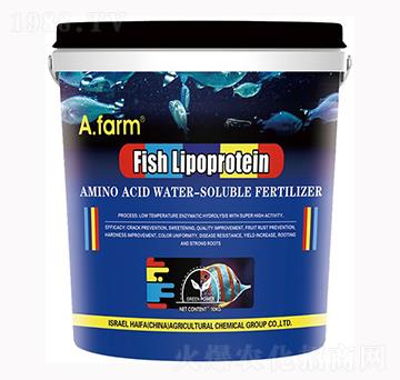 �~(y��)֬����