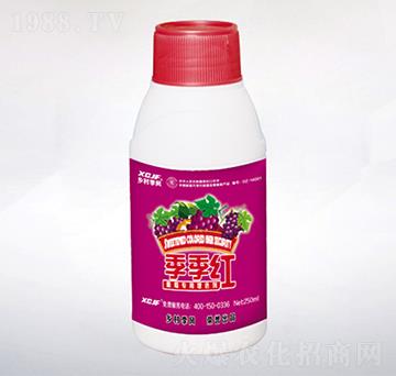 ���ь�(zhu��n)����ɫ��-�����t-�l(xi��ng)�弾�L(f��ng)