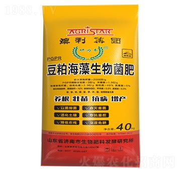 ���ɺ����������-����