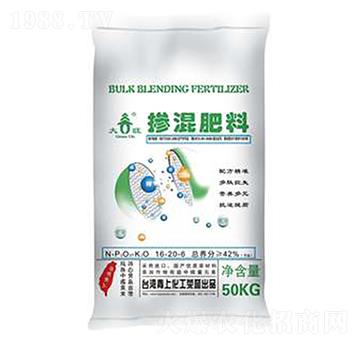 �������24-16-6-����-���ϻ���