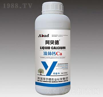 ���w�}Ca-��ؐ��-�Ɲ��r(n��ng)��