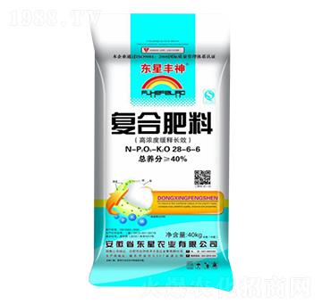 �|���S��ͺϷ���28-6-6-�|��