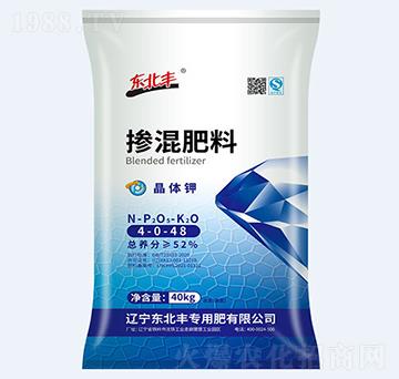 ���w⛓������4-0-