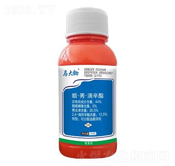 44%����ݬ��������-