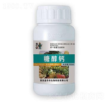 �Ǵ��}-���A����