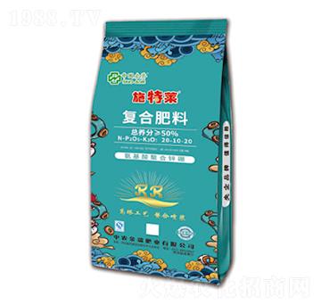 �����������\���ͺϷ���