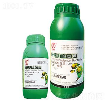 3%�׻�����`-����-������