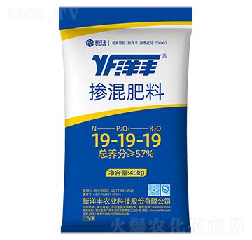 �������19-19-19-���S