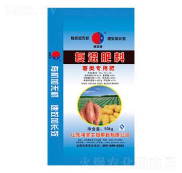 ����Ïͻ����-��ʥ����