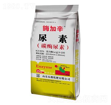 ����-�|������