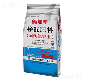 �������26-0-6-�|������