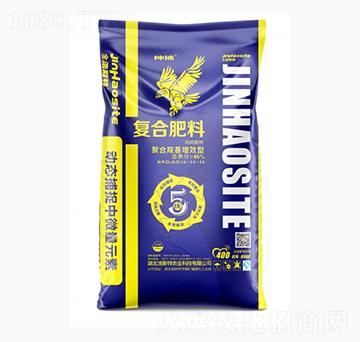 �񲶏ͺϷ���16-14-16-��˹���r�I(y��)