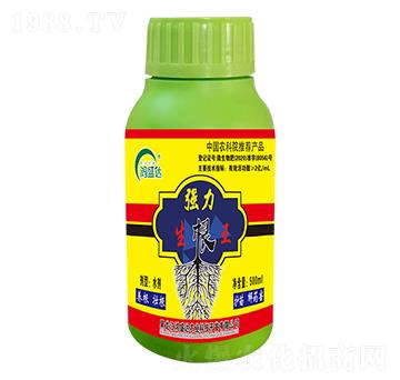 ����������-��ʢ�_