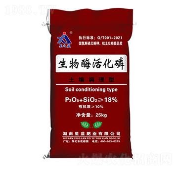 �����{(di��o)��������ø���-���{(l��n)�ʘI(y��)