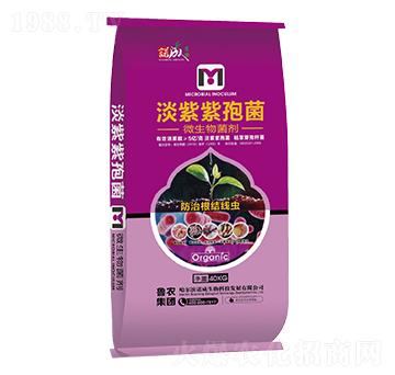 �������߾�-�Z�ɑ�(zh��n)��-���r(n��ng)���F