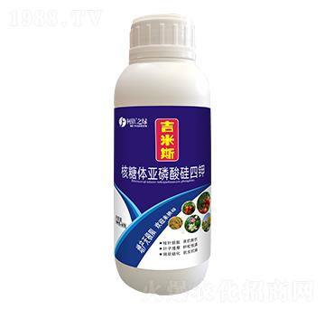 �����w����������-����˹-����֮�G