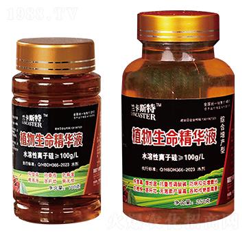 �C�����a(ch��n)��ֲ���������AҺ-�m��˹��-�󻯷ʘI(y��)