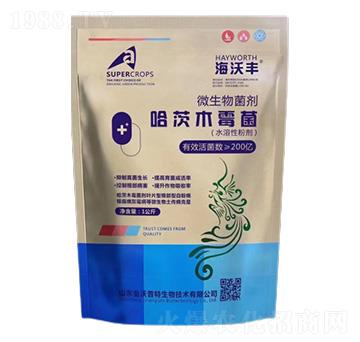 ����ľù��-�����S-��������