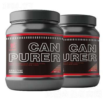 ��������Ľ���-����-�����_