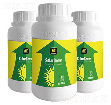 ���������-�����_-�����_