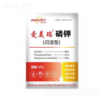 �W���͐�(��i)�������-��(��i)����