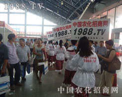 �r�����̾W������׌�҂�����������