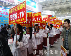 2014ֲ���p�������貵�����