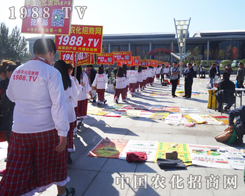 1988.TV��2014�L�������p�����ϴ�������