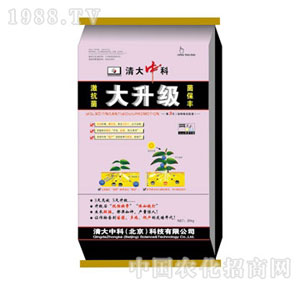 ����п�-������(j��)�_ʩ��