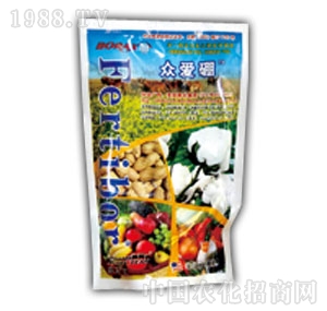 �л����F-������