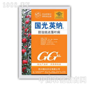 ��(gu��)��-Ӣ�{