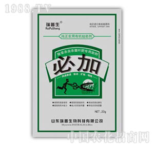 ������-�ؼ�