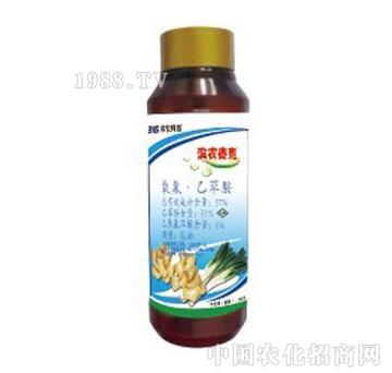 �I�r(n��ng)�Ƽ�-�I�r(n��ng)����